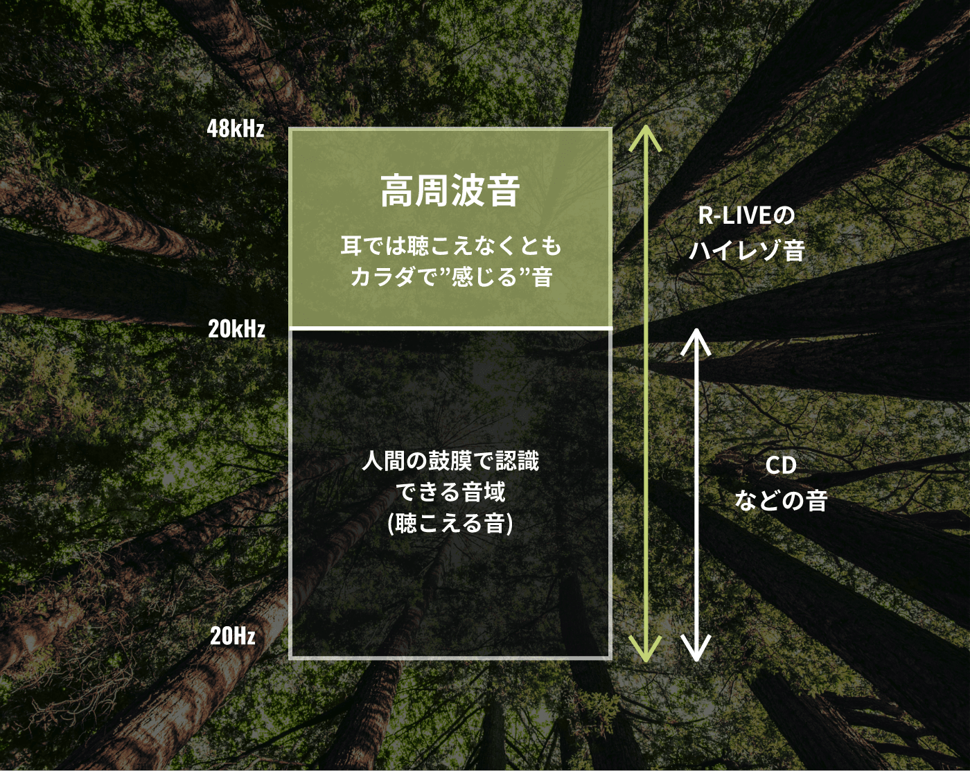 厳選された最高品質の自然の原音