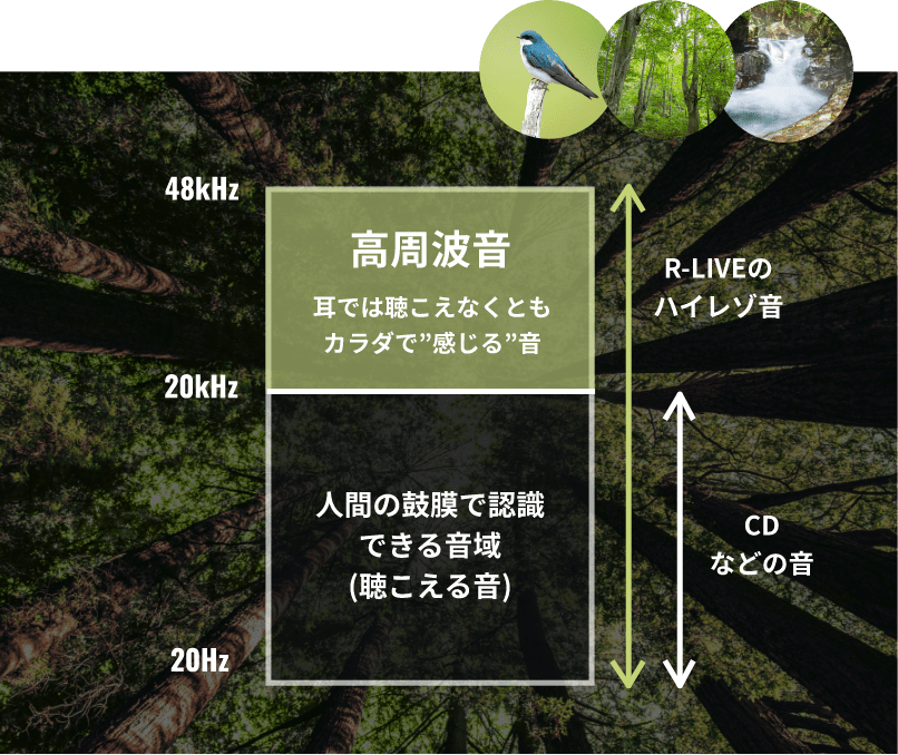 厳選された最高品質の自然の原音