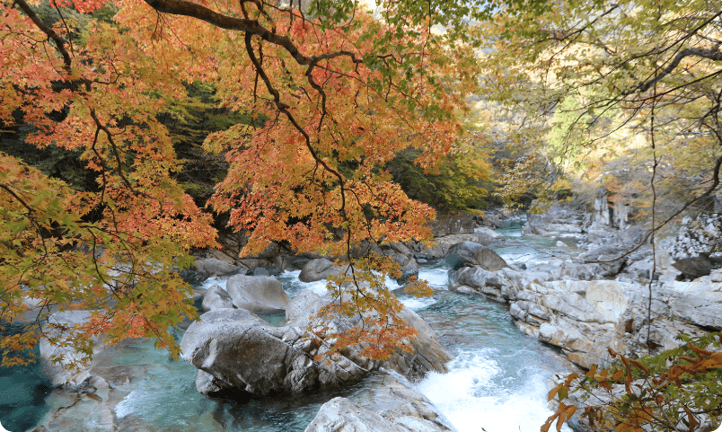 秋　奈良県・天川村