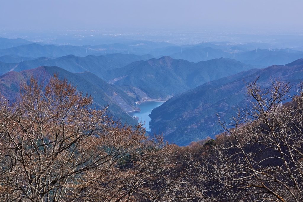 凛とした静寂な空気に溶け合う川のせせらぎ。名栗川渓谷に響くノスタルジックな「冬」の音 – R-LIVE